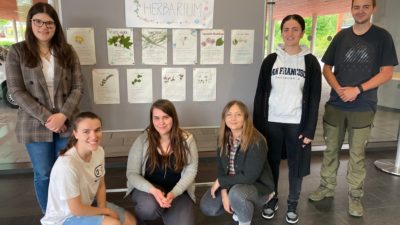 Herbarium im Mai